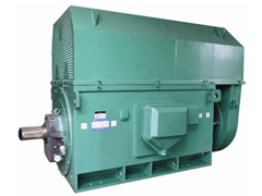 马山Y系列6KV高压电机